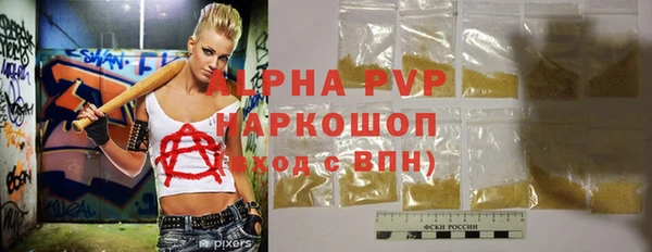 apvp Рославль