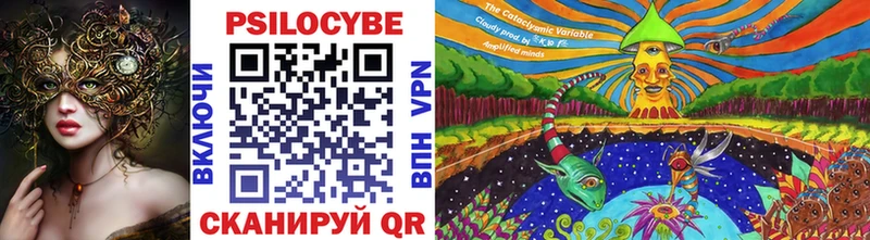 blacksprut как войти Белая Холуница Псилоцибиновые грибы прущие грибы